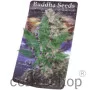 Семена конопли KRAKEN® feminized от Buddha Seeds